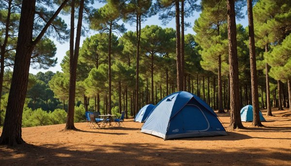 Camping à la londe-les-maures : découvrez le confort du camping l'artaudois